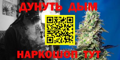 Альфа ПВП Можга