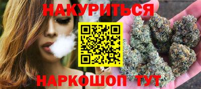 Альфа ПВП Можга