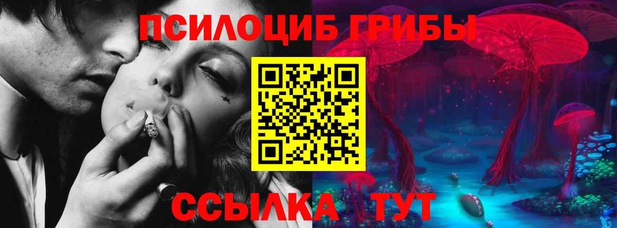 Галлюциногенные грибы Psilocybine cubensis  Псилоцибиновые грибы Magic Shrooms  Чехов  Вход с VPN 